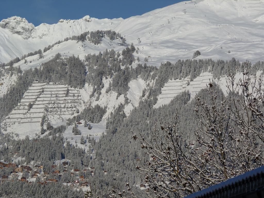 Bed and Breakfast Chalet Des Alpes Crans-Montana Exterior foto