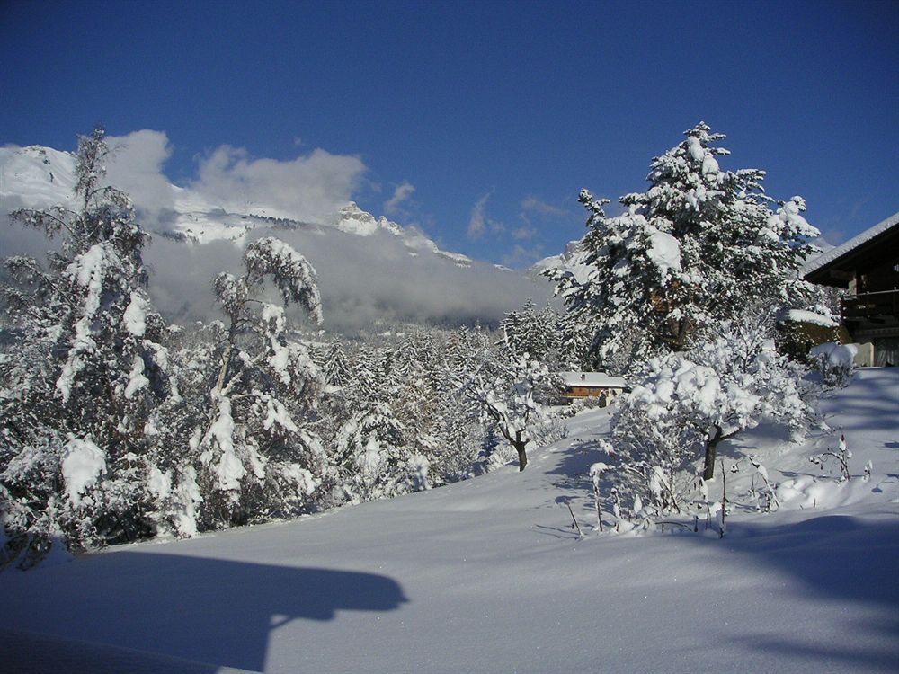 Bed and Breakfast Chalet Des Alpes Crans-Montana Exterior foto