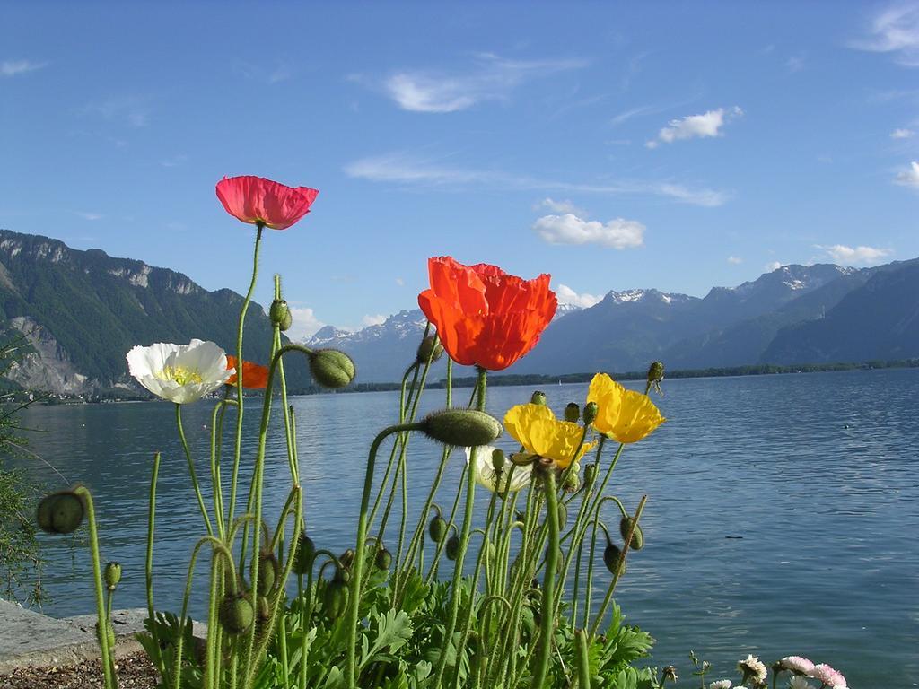 Bed and Breakfast Chalet Des Alpes Crans-Montana Exterior foto